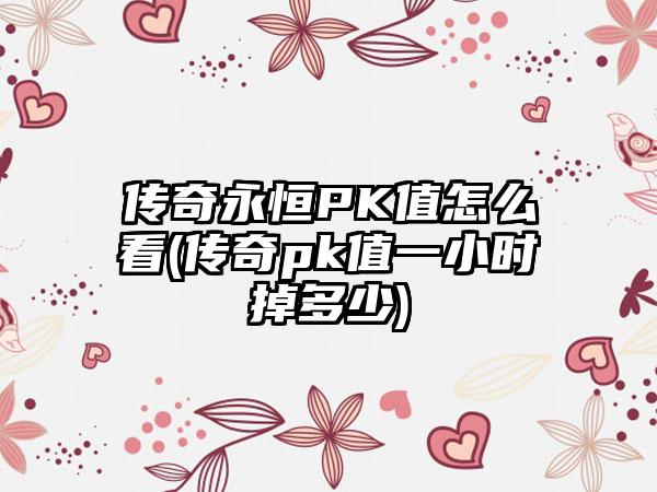 传奇永恒PK值怎么看(传奇pk值一小时掉多少)