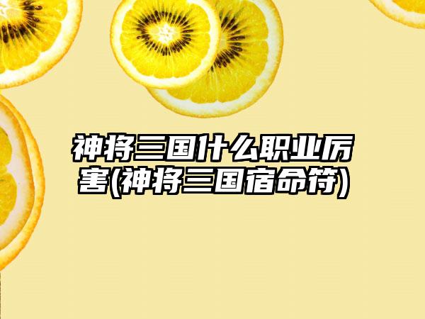神将三国什么职业厉害(神将三国宿命符)