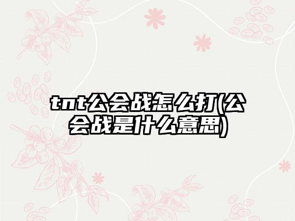 tnt公会战怎么打(公会战是什么意思)