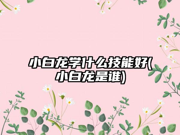 小白龙学什么技能好(小白龙是谁)