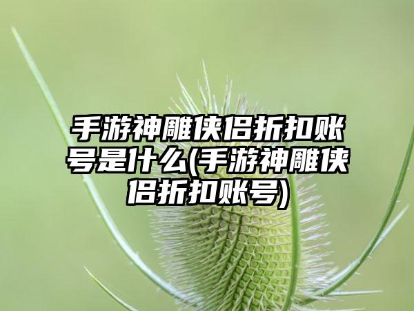 手游神雕侠侣折扣账号是什么(手游神雕侠侣折扣账号)