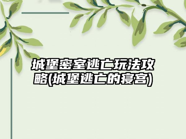 城堡密室逃亡玩法攻略(城堡逃亡的寝宫)