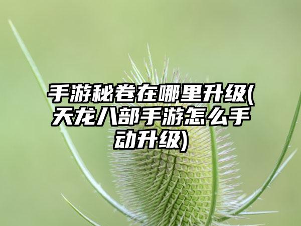 手游秘卷在哪里升级(天龙八部手游怎么手动升级)