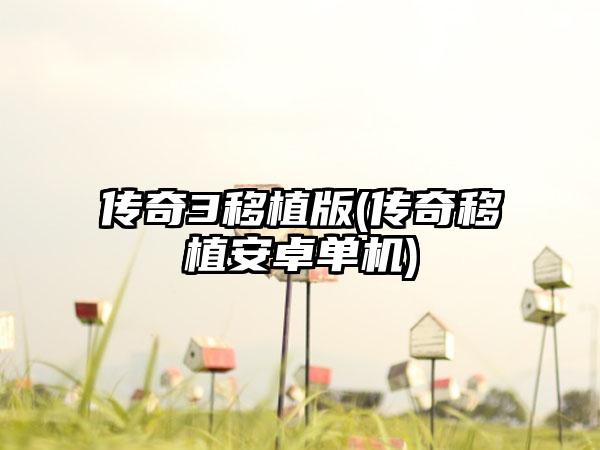 传奇3移植版(传奇移植安卓单机)