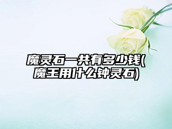 魔灵石一共有多少钱(魔王用什么钟灵石)