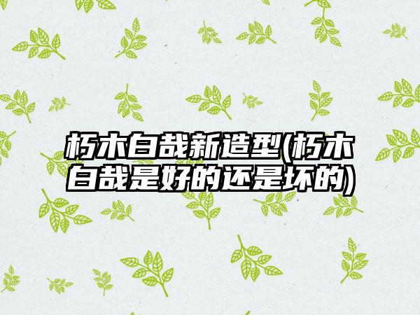 朽木白哉新造型(朽木白哉是好的还是坏的)