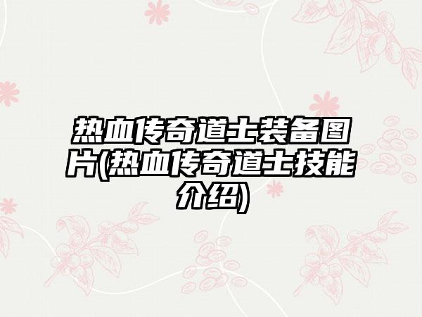 热血传奇道士装备图片(热血传奇道士技能介绍)