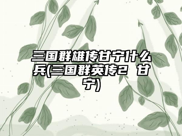 三国群雄传甘宁什么兵(三国群英传2 甘宁)