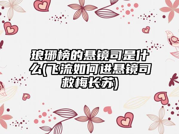 琅琊榜的悬镜司是什么(飞流如何进悬镜司救梅长苏)