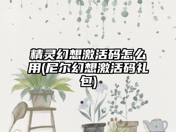 精灵幻想激活码怎么用(尼尔幻想激活码礼包)