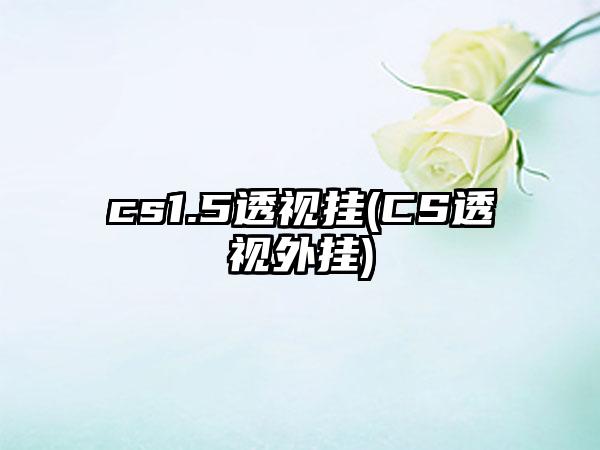 cs1.5透视挂(CS透视外挂)