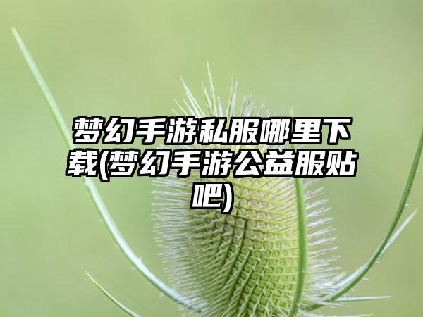 梦幻手游私服哪里下载(梦幻手游公益服贴吧)