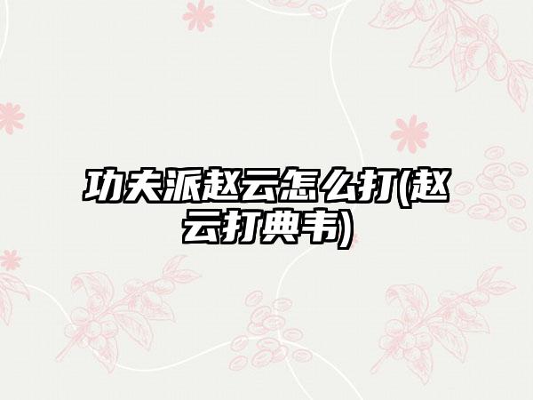 功夫派赵云怎么打(赵云打典韦)