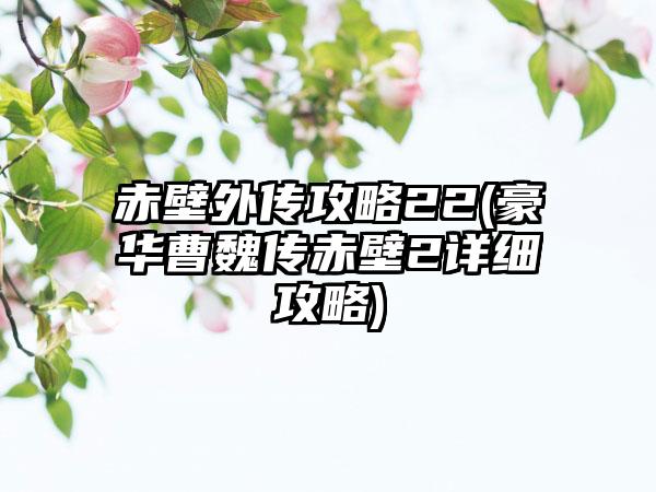 赤壁外传攻略22(豪华曹魏传赤壁2详细攻略)