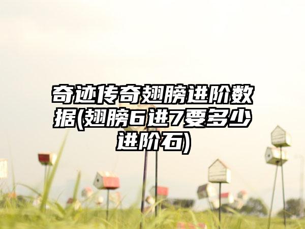 奇迹传奇翅膀进阶数据(翅膀6进7要多少进阶石)