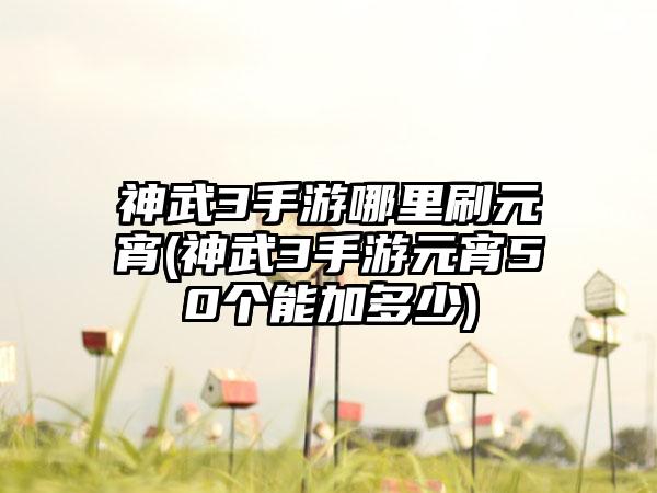 神武3手游哪里刷元宵(神武3手游元宵50个能加多少)