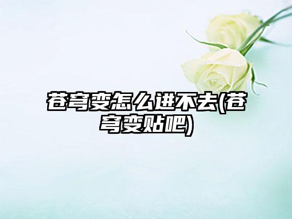 苍穹变怎么进不去(苍穹变贴吧)