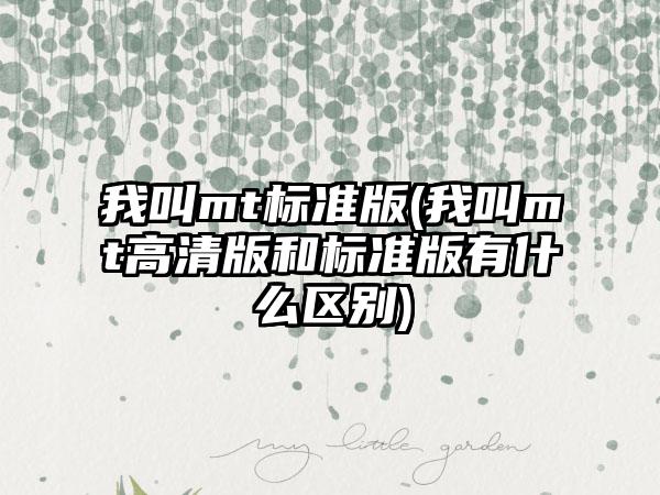 我叫mt标准版(我叫mt高清版和标准版有什么区别)