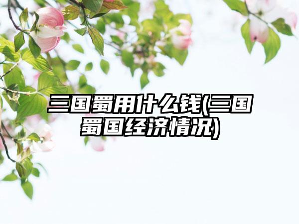 三国蜀用什么钱(三国蜀国经济情况)