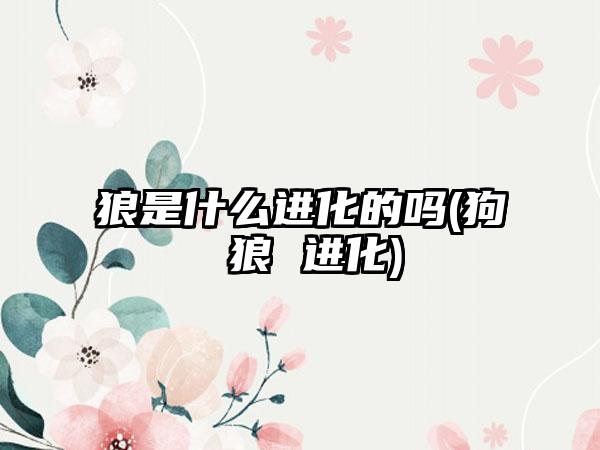 狼是什么进化的吗(狗 狼 进化)