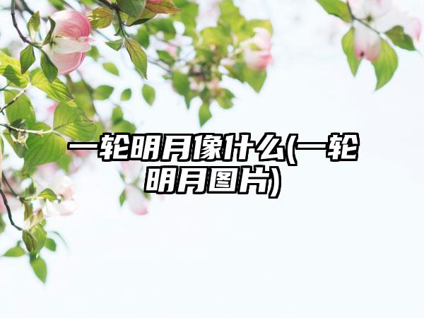 一轮明月像什么(一轮明月图片)