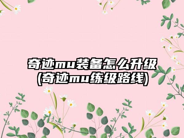 奇迹mu装备怎么升级(奇迹mu练级路线)