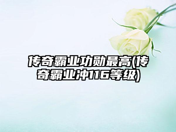 传奇霸业功勋最高(传奇霸业冲116等级)