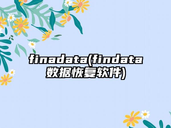 finadata(findata数据恢复软件)