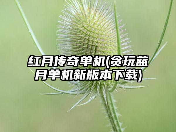 红月传奇单机(贪玩蓝月单机新版本下载)