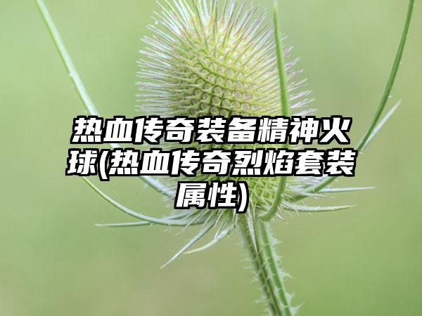 热血传奇装备精神火球(热血传奇烈焰套装属性)