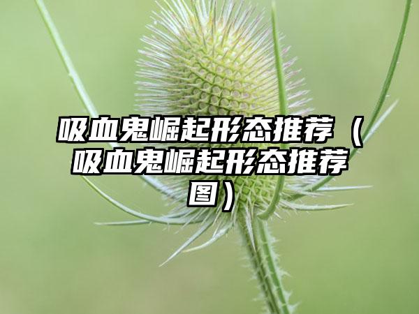 吸血鬼崛起形态推荐（吸血鬼崛起形态推荐图）