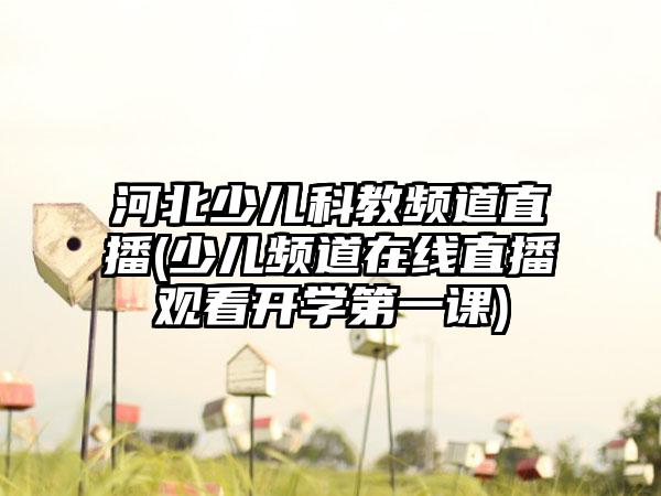 河北少儿科教频道直播(少儿频道在线直播观看开学第一课)
