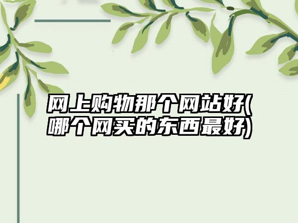 网上购物那个网站好(哪个网买的东西最好)