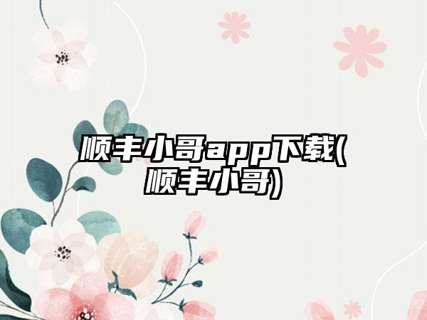 顺丰小哥app下载(顺丰小哥)