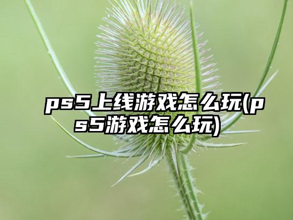 ps5上线游戏怎么玩(ps5游戏怎么玩)