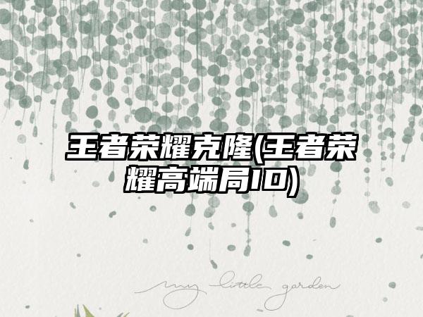 王者荣耀克隆(王者荣耀高端局ID)