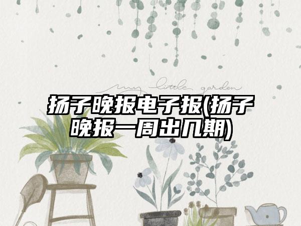 扬子晚报电子报(扬子晚报一周出几期)