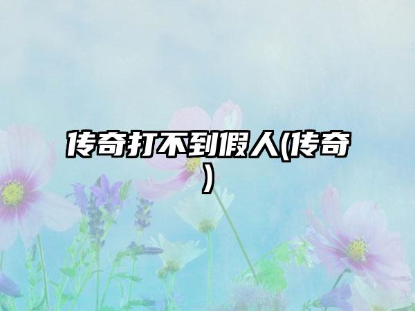 传奇打不到假人(传奇)