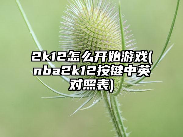 2k12怎么开始游戏(nba2k12按键中英对照表)