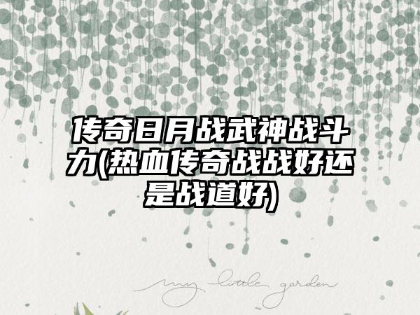 传奇日月战武神战斗力(热血传奇战战好还是战道好)