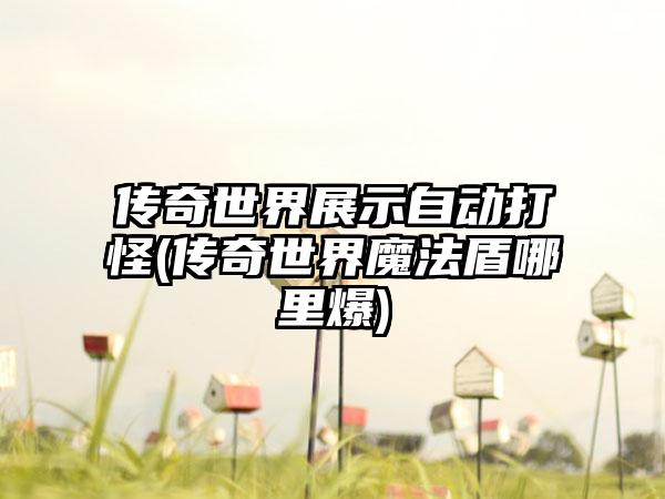 传奇世界展示自动打怪(传奇世界魔法盾哪里爆)