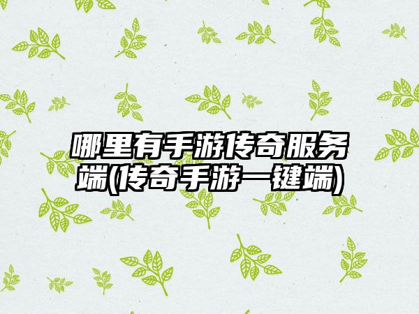 哪里有手游传奇服务端(传奇手游一键端)