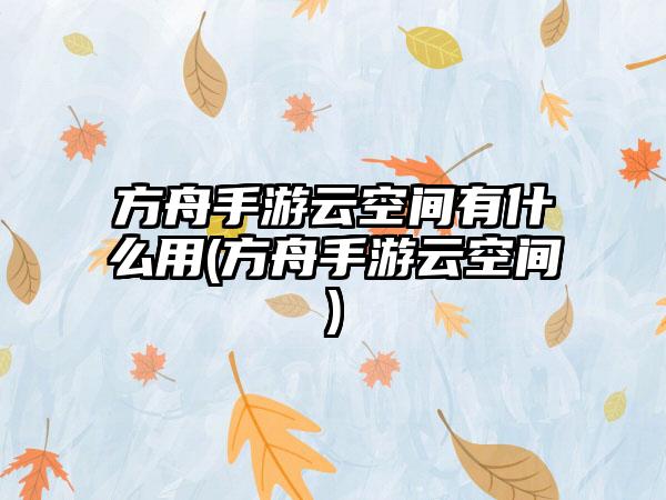 方舟手游云空间有什么用(方舟手游云空间)