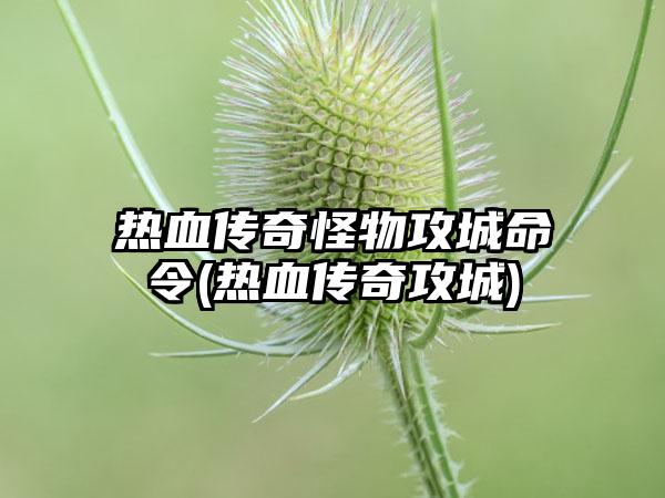 热血传奇怪物攻城命令(热血传奇攻城)