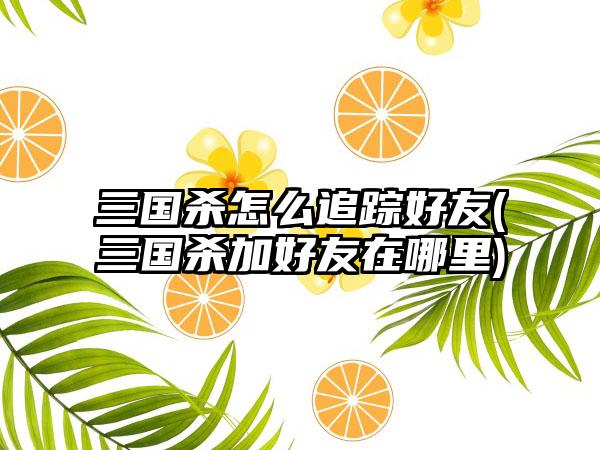 三国杀怎么追踪好友(三国杀加好友在哪里)