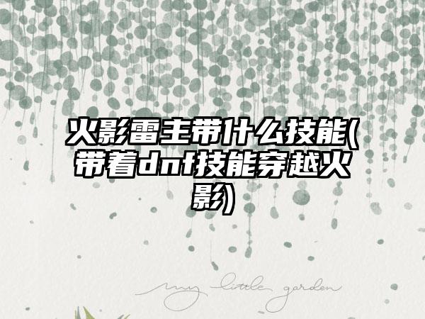 火影雷主带什么技能(带着dnf技能穿越火影)