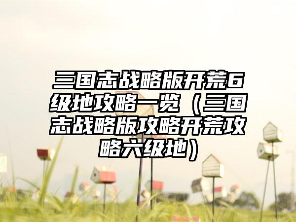 三国志战略版开荒6级地攻略一览（三国志战略版攻略开荒攻略六级地）