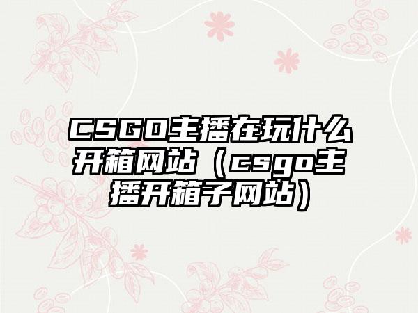 CSGO主播在玩什么开箱网站（csgo主播开箱子网站）