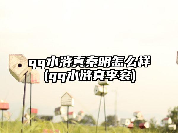 qq水浒真秦明怎么样(qq水浒真李衮)
