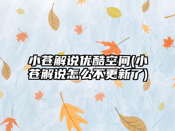 小苍解说优酷空间(小苍解说怎么不更新了)